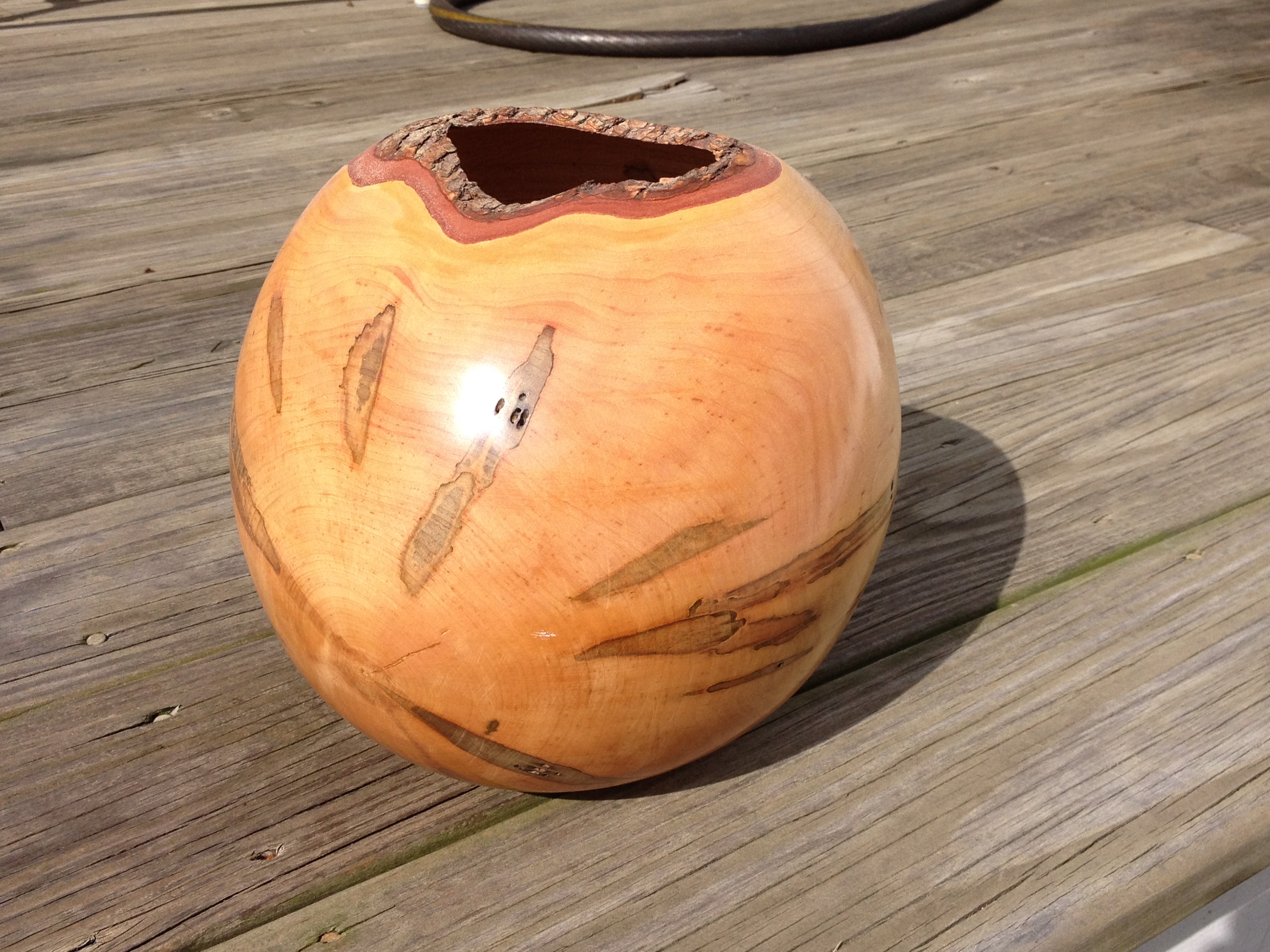 Maple Vase