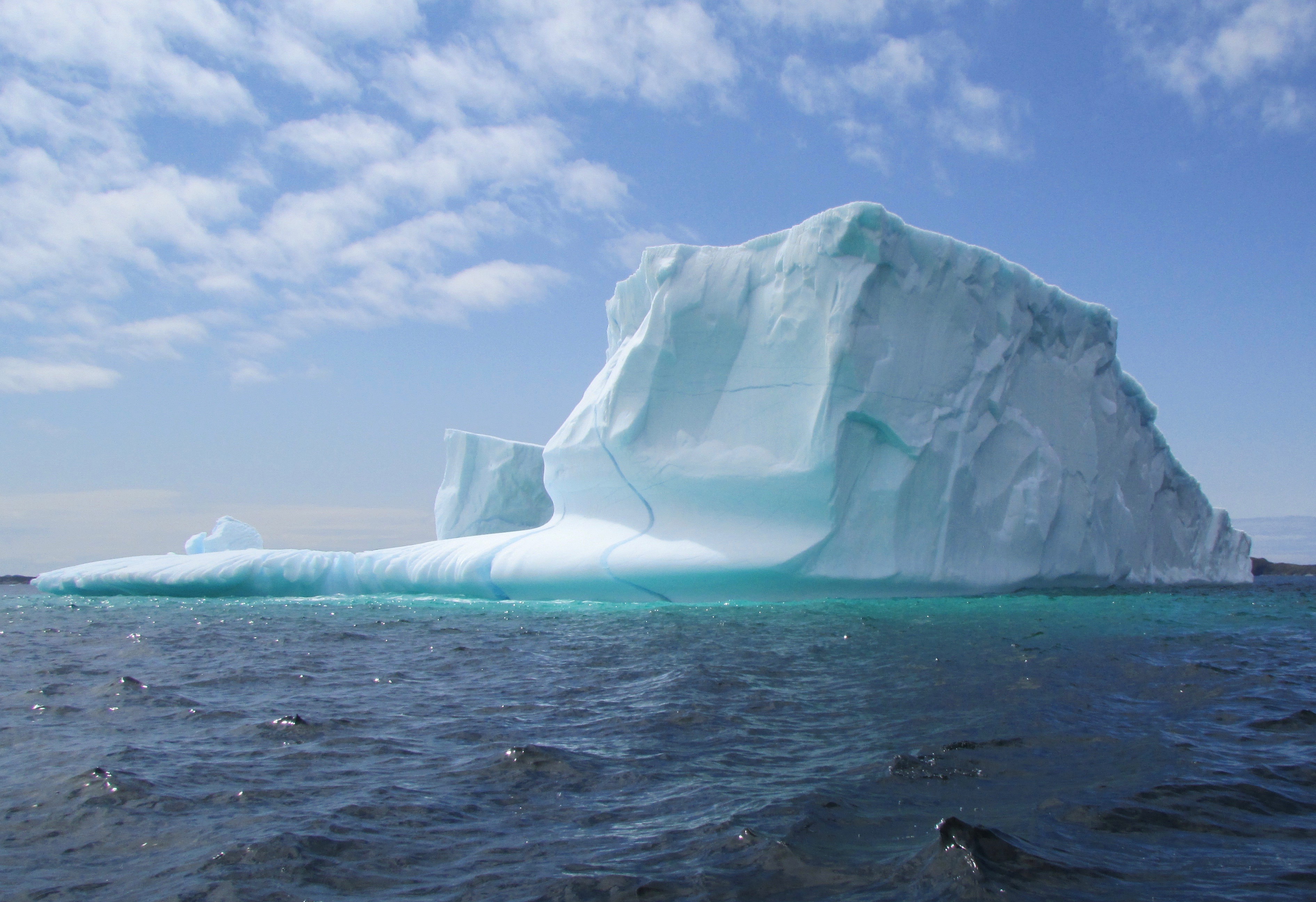 Iceberg in Newfoundland