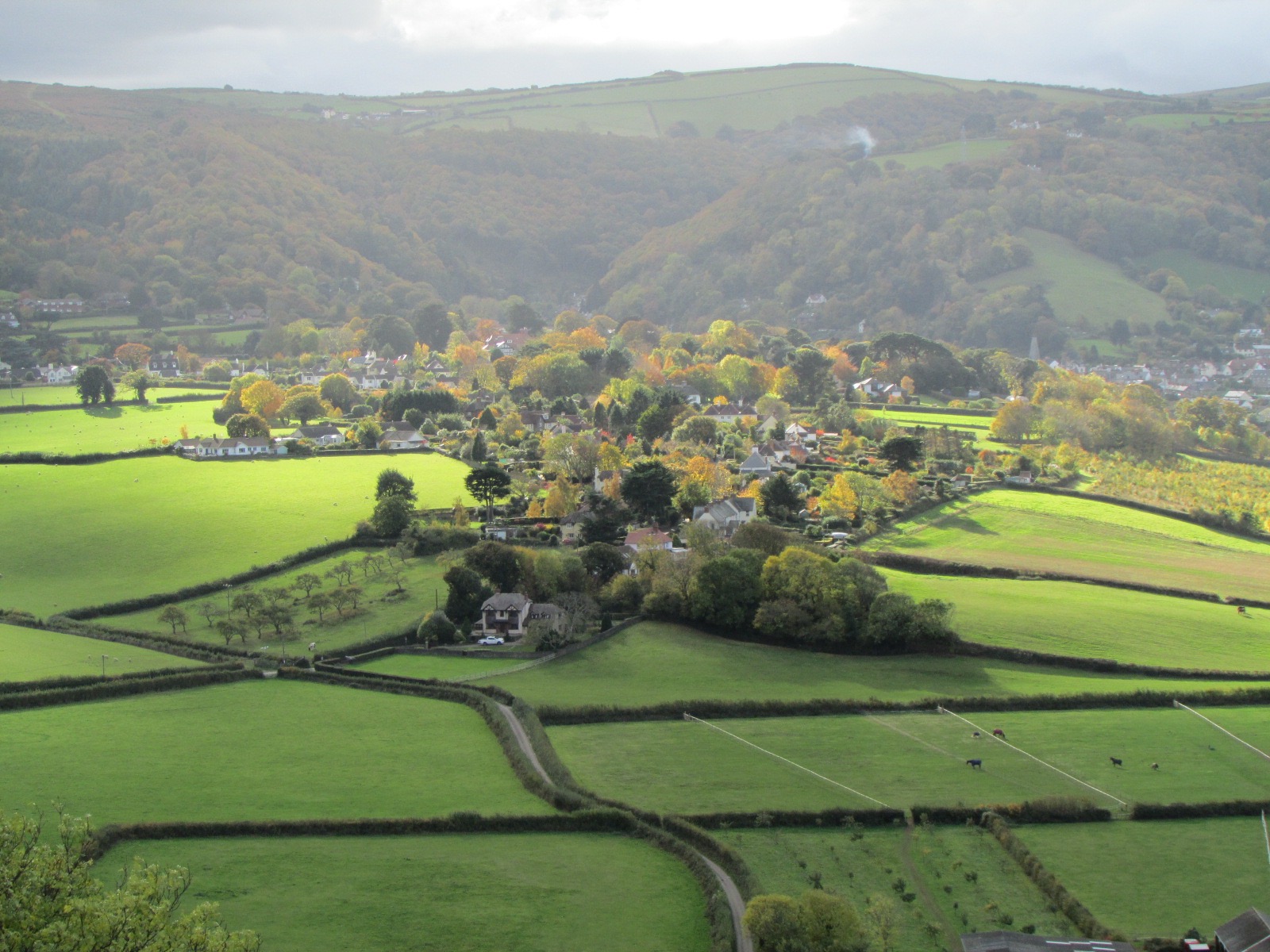 Cornwall Fields