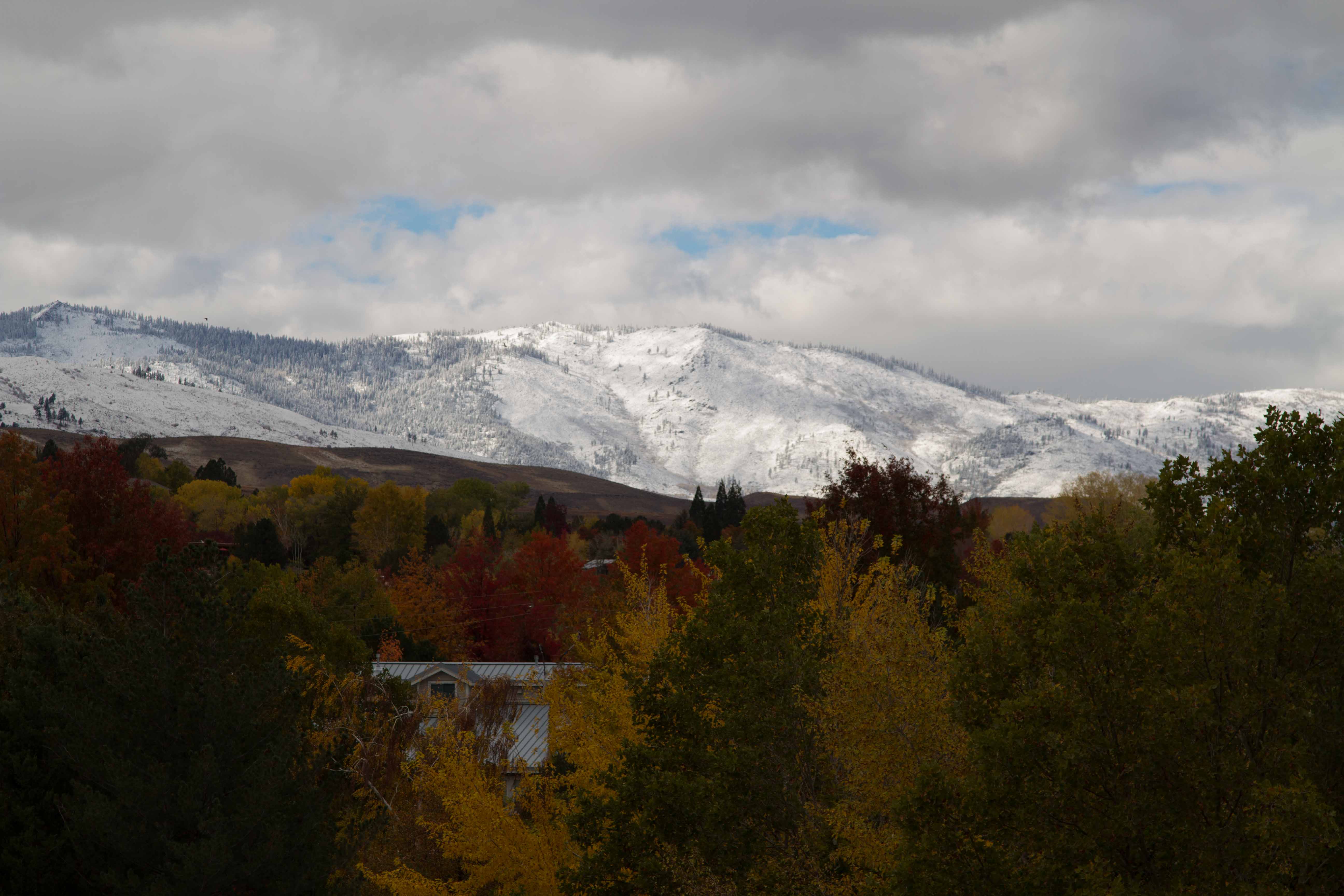 Winters Edge