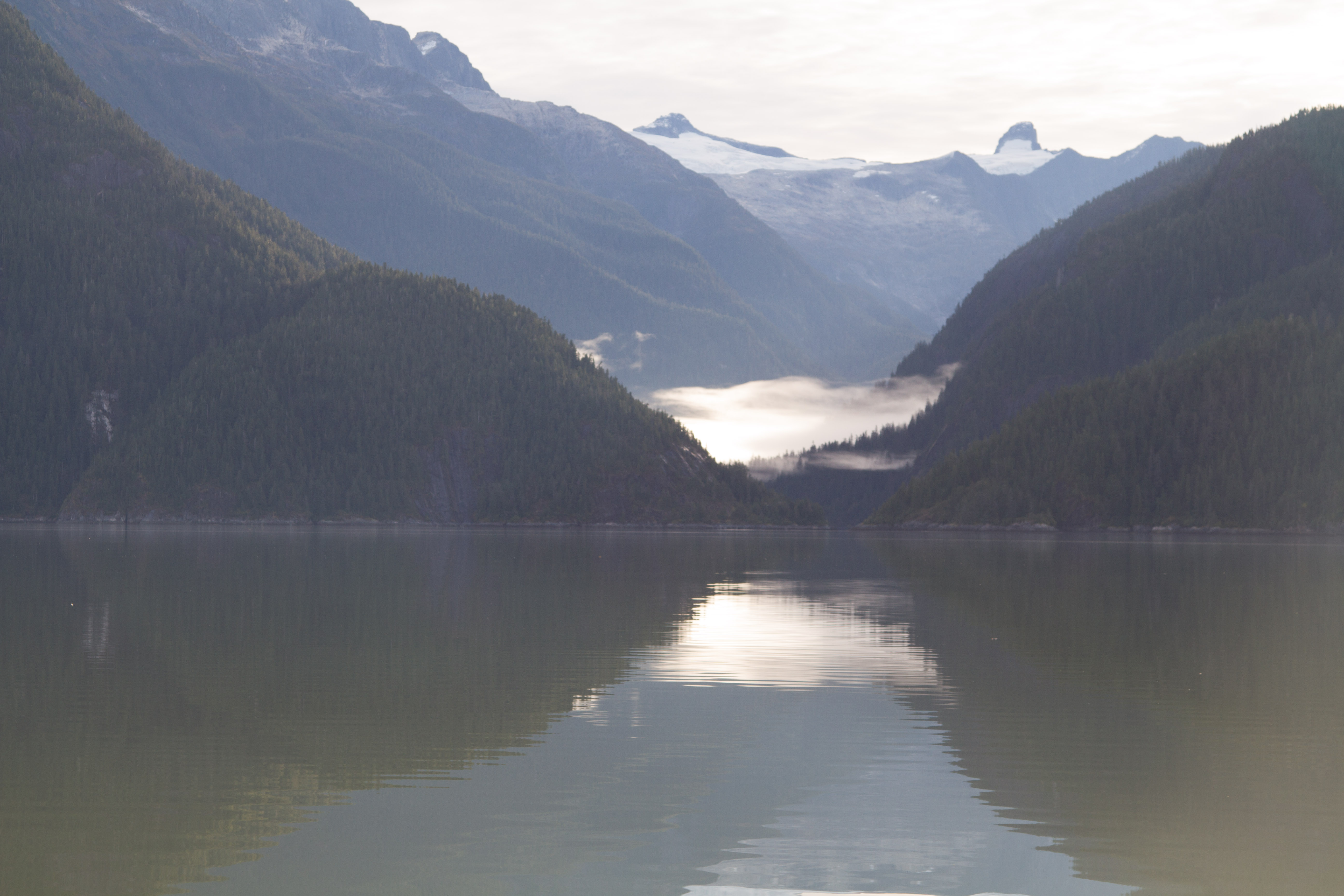 Scenery Cove Thomas Bay AK