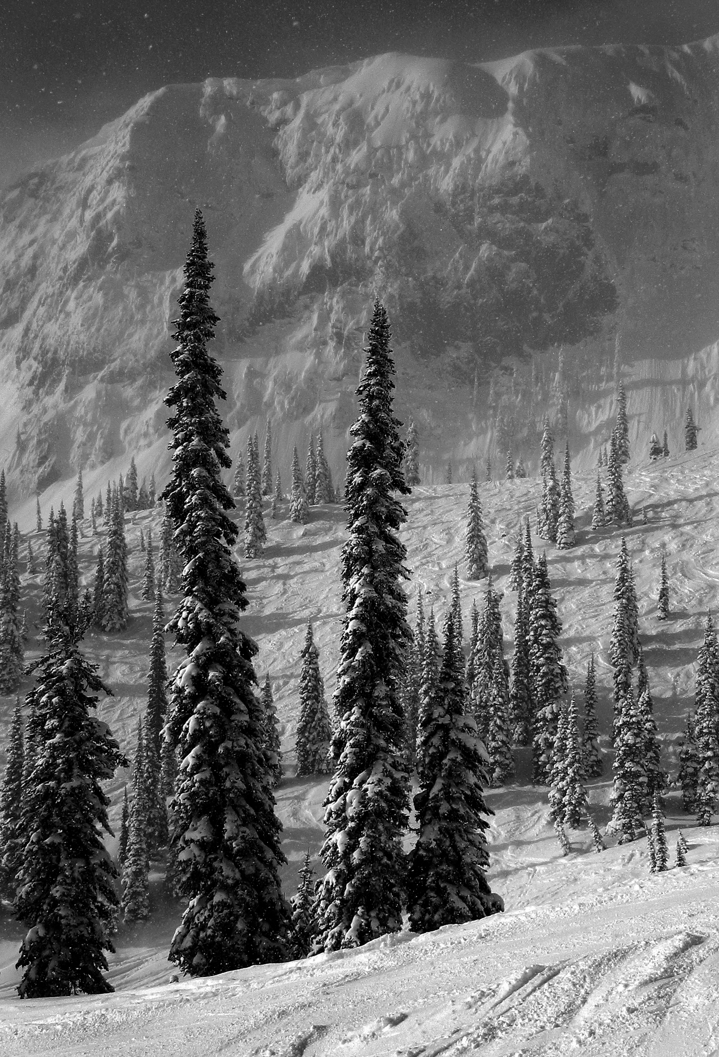 Landscape - Snowy