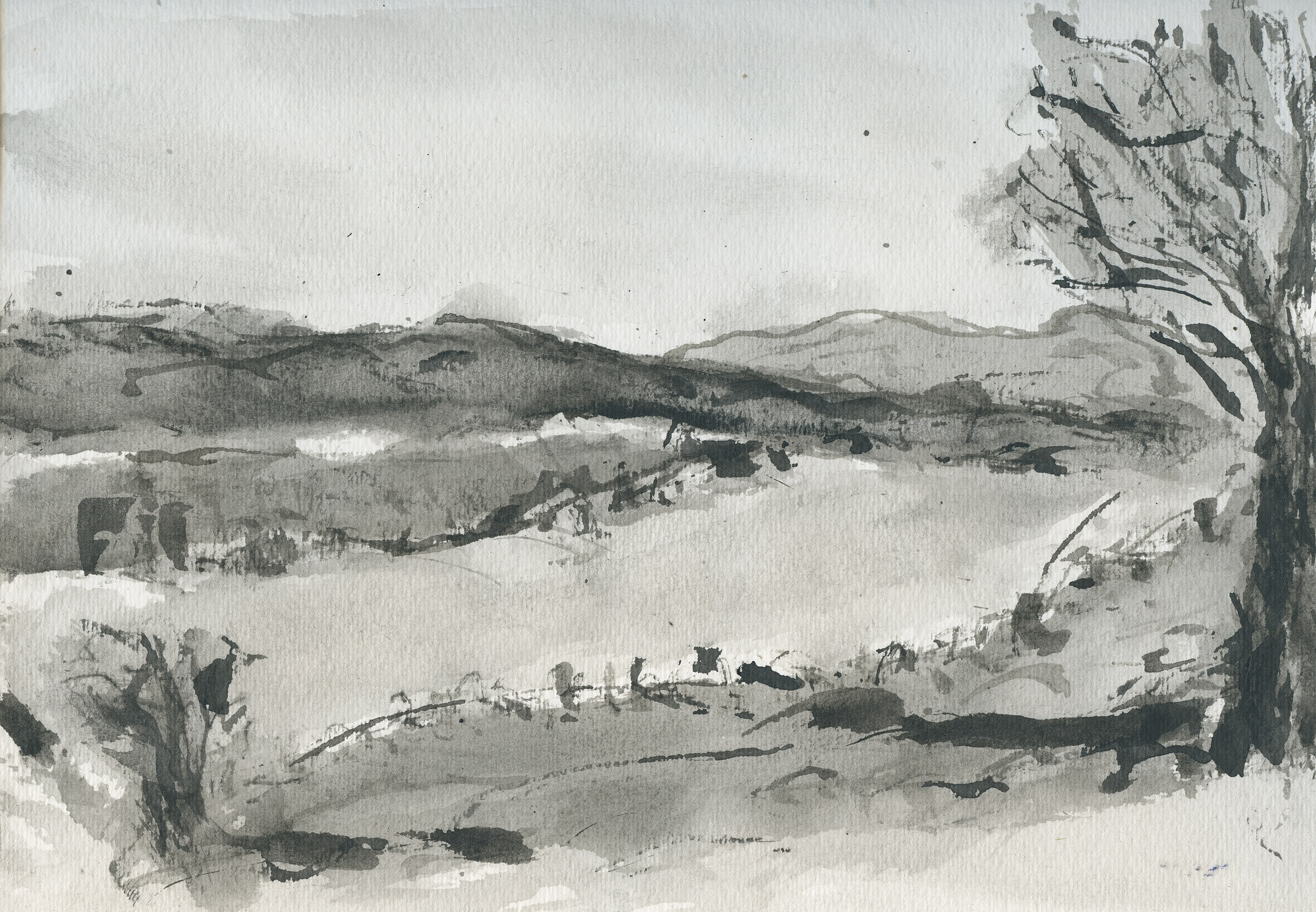 Along the Columbia