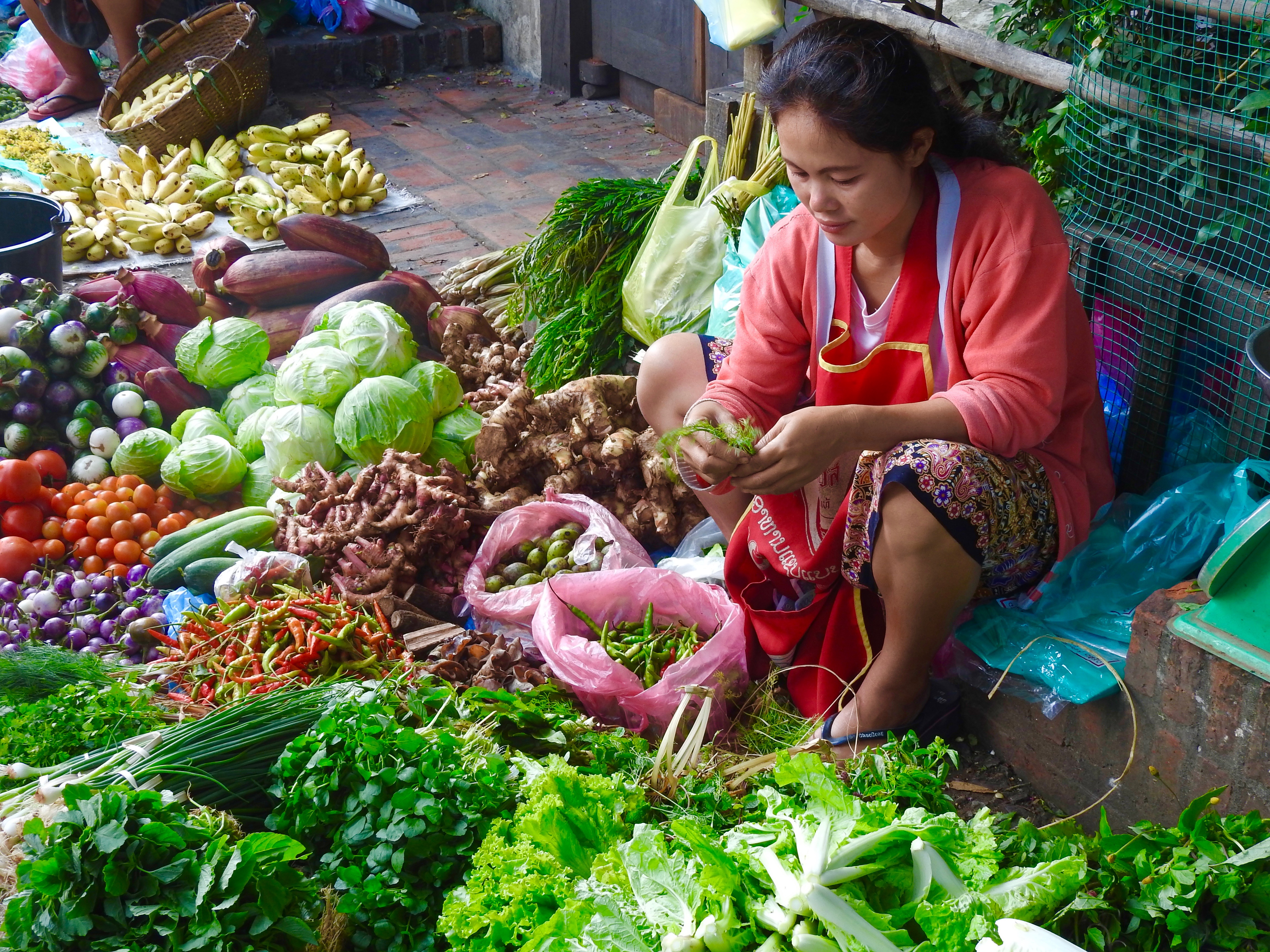 In the Morning Market, Luang Prabang Laos 2017